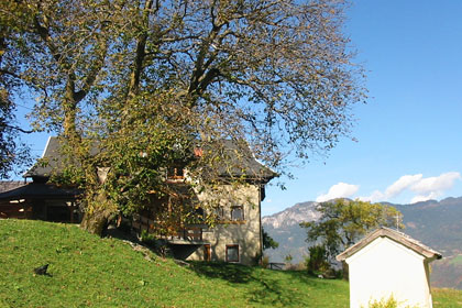 Bildgalerien