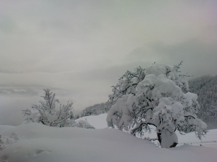 PICT0194