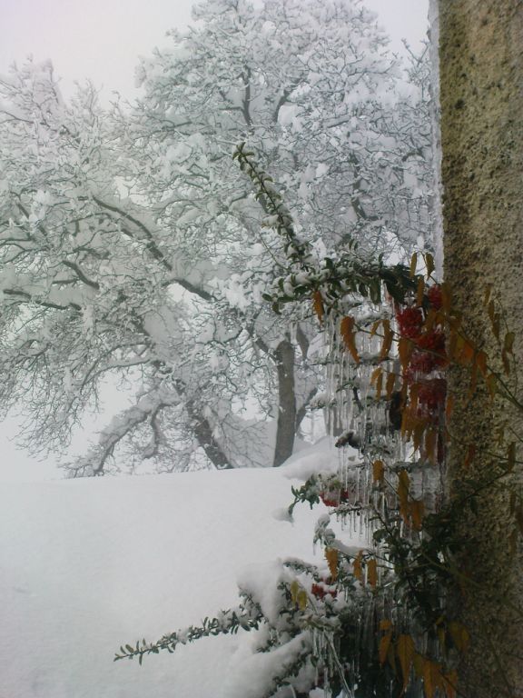 PICT0135