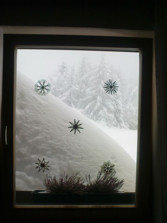 Blick aus dem Fenster