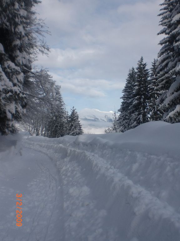 Wintertraum