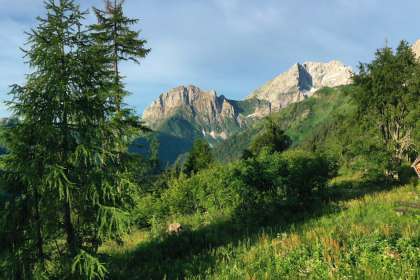 wandern